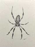 "Weaver" Print 8x10