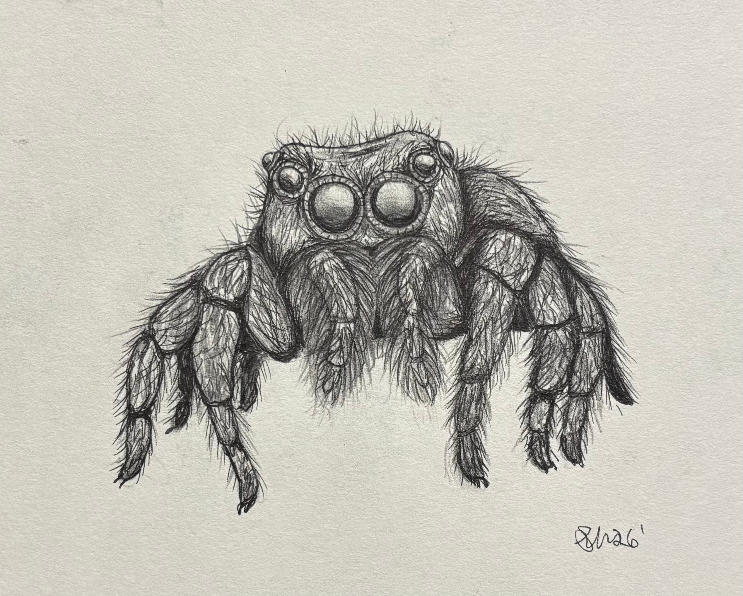 "Jumper" Print 8x10