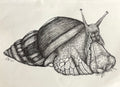 "Strawberry Giant" Print 8x10