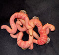 Worm Pin